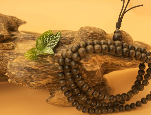 Phong Thủy – Nghệ Thuật Sắp Đặt Để Hút Tài Lộc và Bình An 3